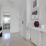 Oasis *