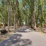 Oasis *